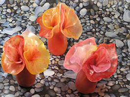 gallery-item__img