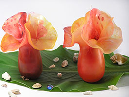gallery-item__img